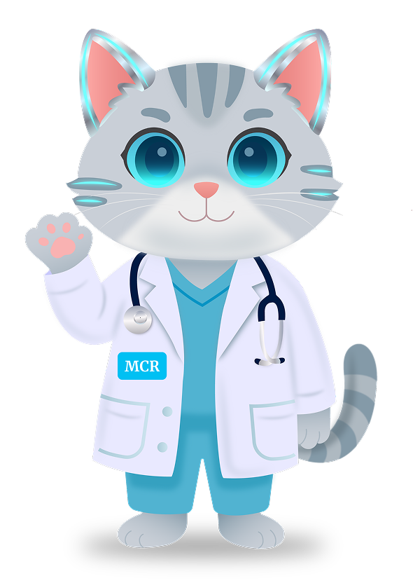 Mascot MMED hello 1 (1)