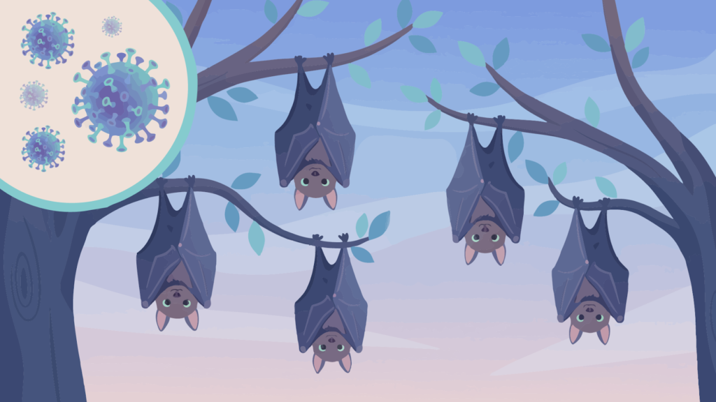 Nipah Virus